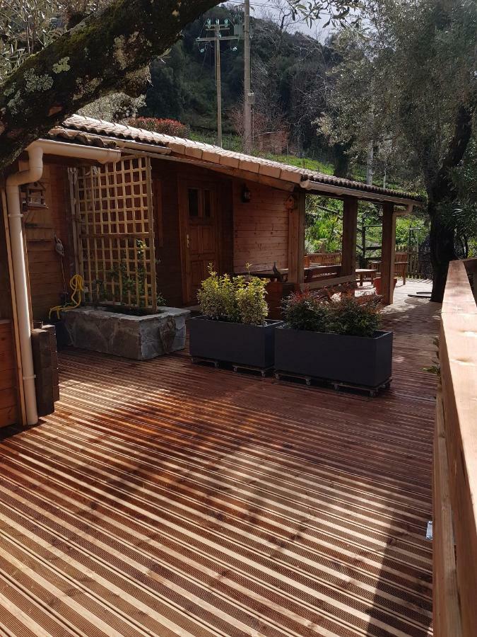 Le Chalet De Valentine & Laurent Olmiccia Exteriér fotografie