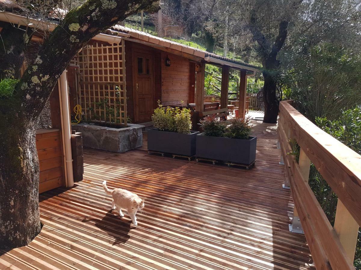 Le Chalet De Valentine & Laurent Olmiccia Exteriér fotografie